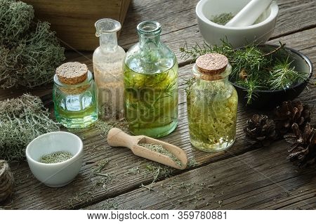 Healthy Tinctures And Oil Bottles, Lichen, Moss, Juniper, Pine Cones On Wooden Table. Herbal Medicin