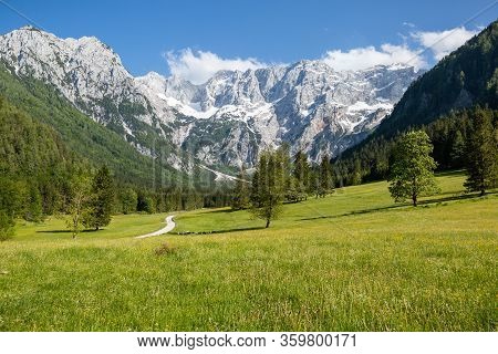 Summer In Jezersko, Slovenia Mountain Valley Pasture With Kamnik-savinja Alps