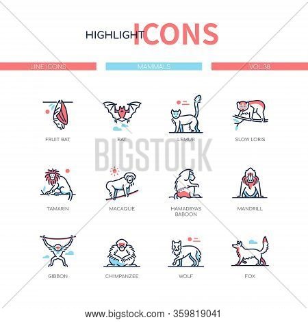 Different Mammals - Modern Line Design Style Icons Set