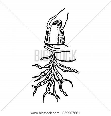 Black Outline Hand Drawing Vector Illustration Of A Decorative Plant Transplanting In A Pot Isolated