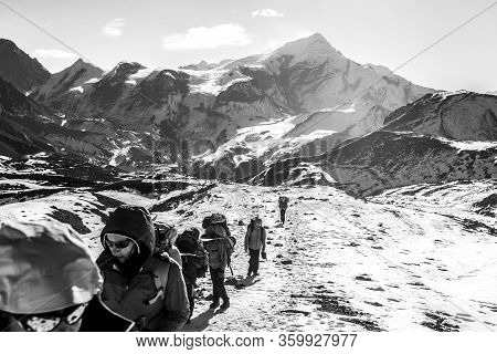 Annapurna, Nepal - November 16, 2015: Tourist Going Up On The Way To Thorong La Pass (5416 M), Annap