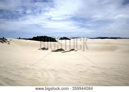 Sand Buggy Tour In The Dunes Of Oregon, Usa