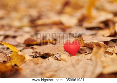 Heart On Autumn Leaves. Infatuation, One-sided Romantic Love Concept. Symbol Of Unrequited Love Vict