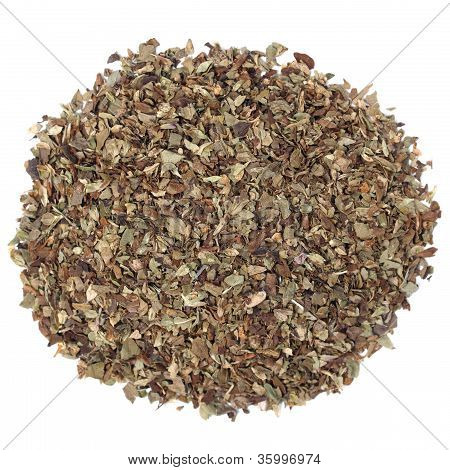 Oregano spice
