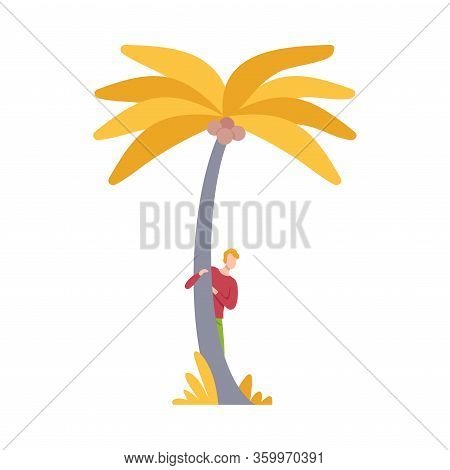 Young Man Hiding And Peeking Behind Yellow Palm Tree Vector Illustration