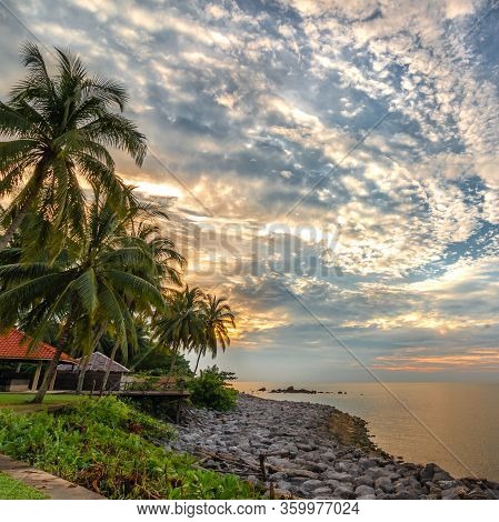 Sunset, Rocky Beach, Palm Trees, Beautiful Sky