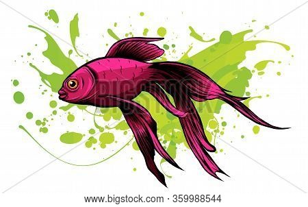Red Drum, Redfish. Vector Illustration With Refined Details