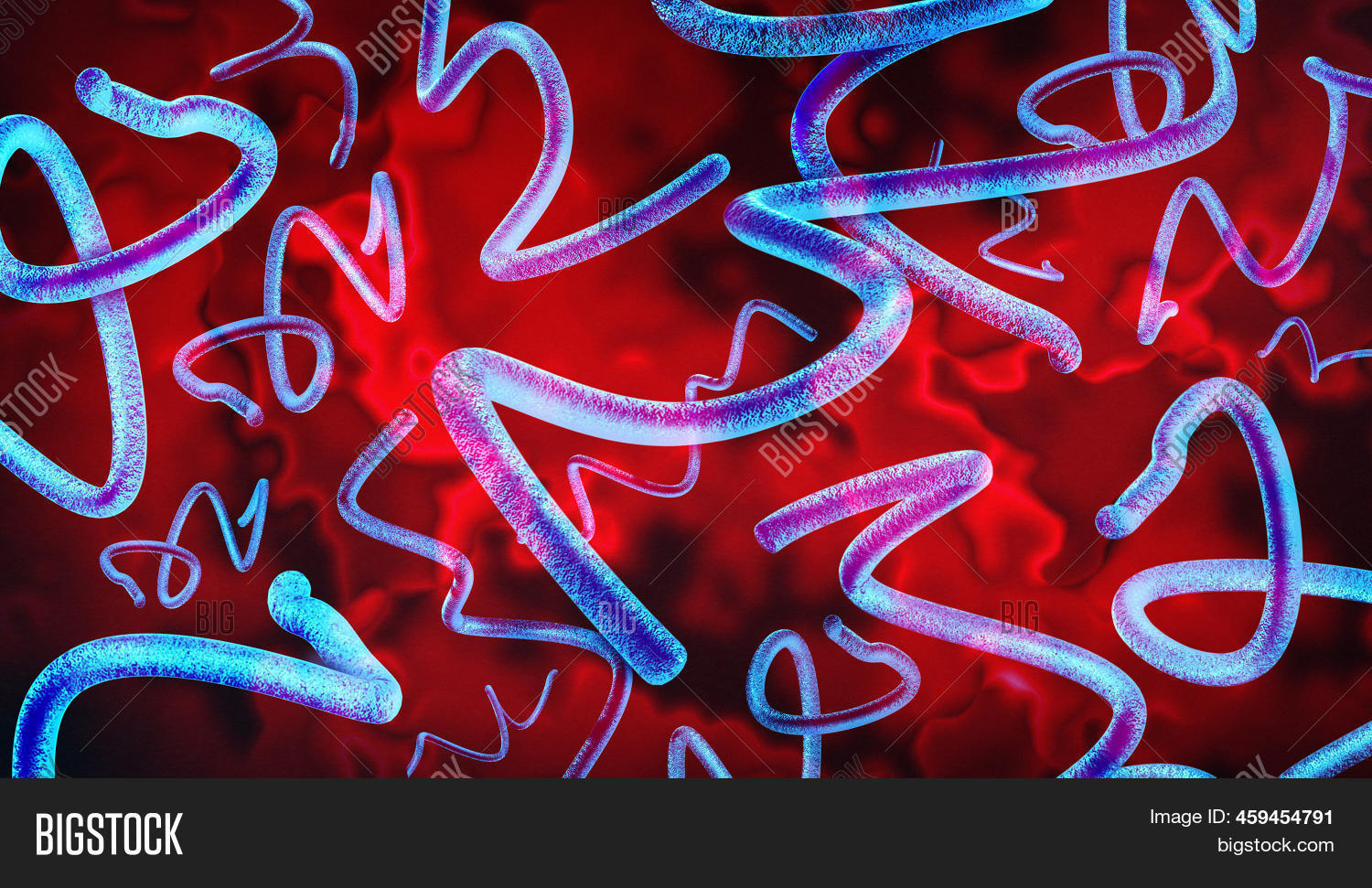 Lyme Disease Bacteria Image & Photo (Free Trial) Bigstock