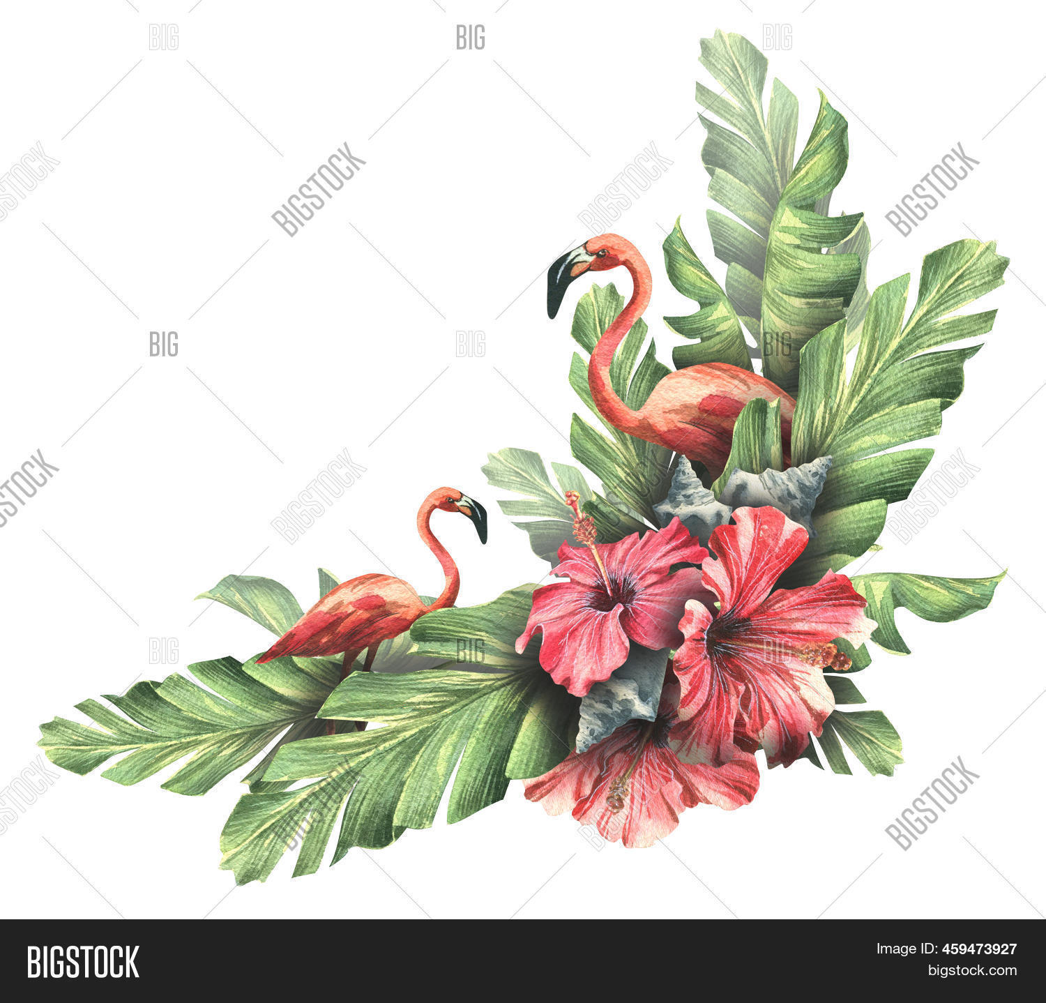 Pink Flamingos Image & Photo (Free Trial) Bigstock