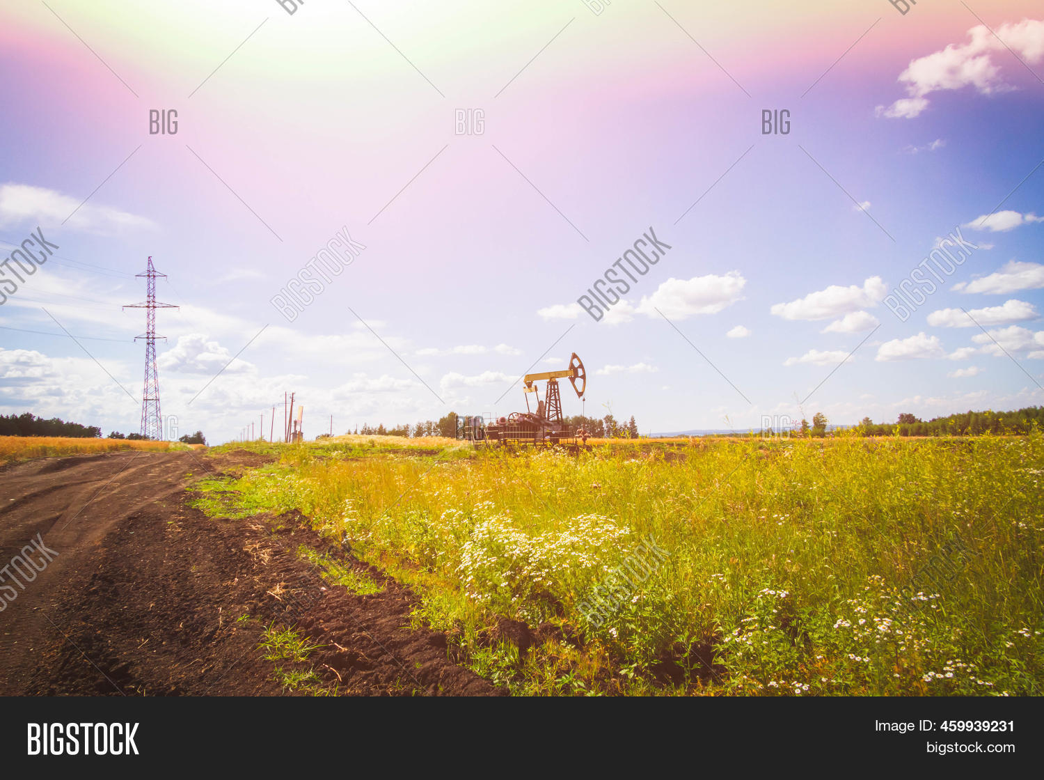 Oil Injection. Oil Image & Photo (Free Trial) Bigstock