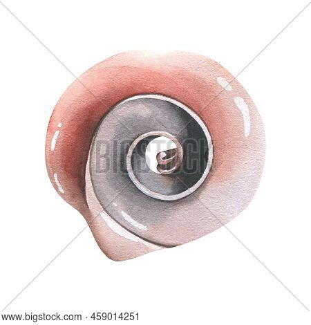 Round, Spiral, Seashell Cut Lengthwise. Watercolor Illustration. An Isolated Object From A Large Set