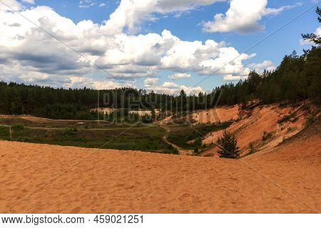 Yellow Sand Dune With Green Pine And Fir Trees And Blue Sky With Clouds