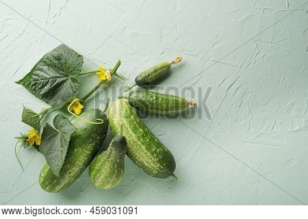 Cucumber On Green Texture Background. Cucumbers Harvest In Summer. Cucumbers For Salads Or Canning. 
