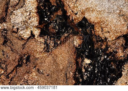 Sedna Gold Natural Polished Granite Stone Slab For Perfect Interior.