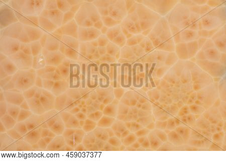 Onice Nuvolato Excellent Texture In Stylish Beige Color For Interior.