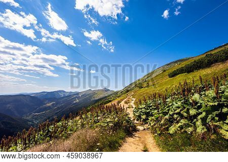 Slovakian Chopok Low Tatra Landscape