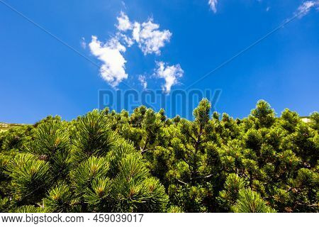 Slovakian Chopok Low Tatra Landscape