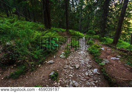 Slovakian Chopok Low Tatra Landscape