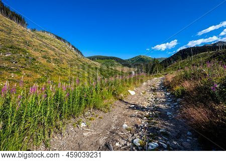 Slovakian Chopok Low Tatra Landscape