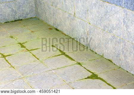 Algae And Dirt On The Floor And Walls Of The Pool