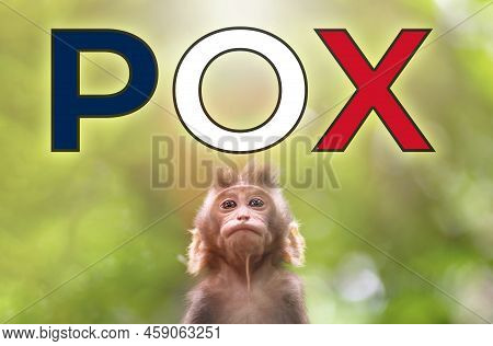 A New Outbreak Of Viral Infection In France, Monkey Pox. Little Monkey Look At Text Pox With French 