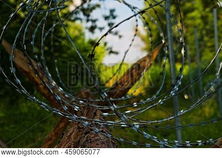 Razor -wire Fence (wire Razor Blade) - 