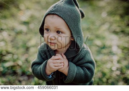 Portrait Of Cute Little Boy Wearing Knitted Hoodie In Nautre, Autumn Concept.