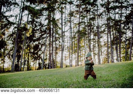 Portrait Of Cute Little Boy Wearing Knitted Hoodie In Nautre, Autumn Concept.