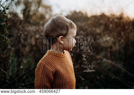 Portrait Of Cute Little Boy Wearing Knitted Sweater In Nautre, Autumn Concept.