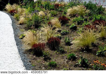 Beds Of Newly Planted Flowers Are Planted And Mulched With Bark. Bluebells And Cypresses, Paths Stre