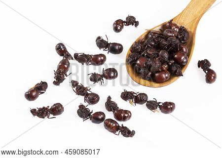 Ants Culonas Typical Gastronomy Of Santander Colombia; Photo White Background