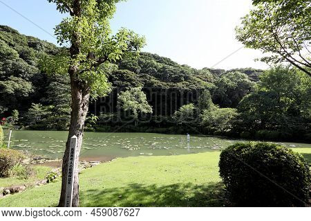Hot Spring Jigoku Meguri