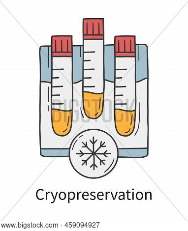 Cryopreservation, Egg And Sperm Donation Vector Illustration