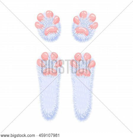 Hare Paws Concept. Cute And Lovely Rabbit Feet. Isolated Illustration On A White Background. Vector 
