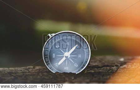 Travel And Navigation. Determination Of Cardinal Points By Compass. Lost In The Forest. How To Find 