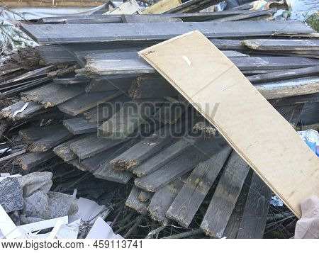 Garbage From Human Activity Lies In A Rural Garbage Dump: Boards, Furniture, Branches, Bags