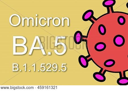 Omicron Variant Ba.5. Dramatic Increase In Disease With New Predominant Variant Of Covid-19. 