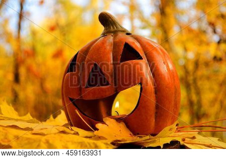 Pumpkins Candles On Golden Leaves In Autumn Forest With Defocused Sunset Background. Halloween Holid