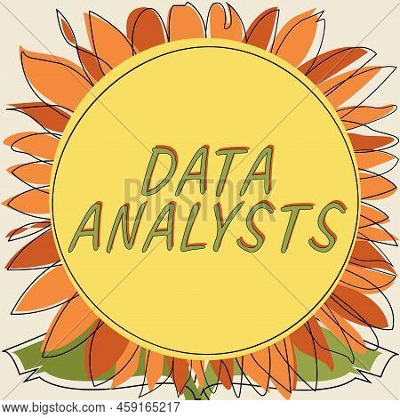 Conceptual Caption Data Analysts. Word For Programmer Design And Create Report Identifies Patterns F