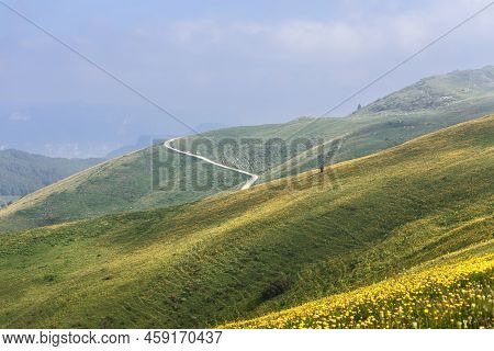 Сountry Road Meanders Along The Endless Slopes Of Alpine Flowering Meadows, Verona, Italy