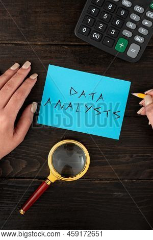 Sign Displaying Data Analysts. Business Approach Programmer Design And Create Report Identifies Patt