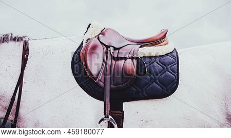 The White Horse Is Wearing A Leather Saddle, A Blue Saddlecloth And Stirrups Against The Sky. Equest