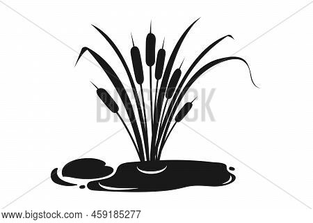 Black Silhouette Of Swamp Reed. Wild Vegetation. Vector Illustration Of Swamp.