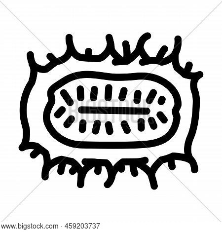 Anguria Cucumber Line Icon Vector. Anguria Cucumber Sign. Isolated Contour Symbol Black Illustration