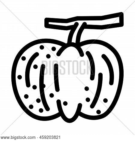Limetta Sweet Lemon Line Icon Vector. Limetta Sweet Lemon Sign. Isolated Contour Symbol Black Illust