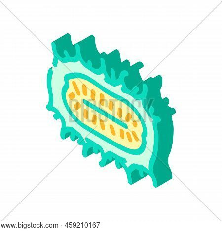 Anguria Cucumber Isometric Icon Vector. Anguria Cucumber Sign. Isolated Symbol Illustration