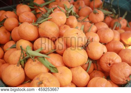 Tangerine Fruit
