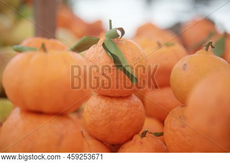 Tangerine Fruit