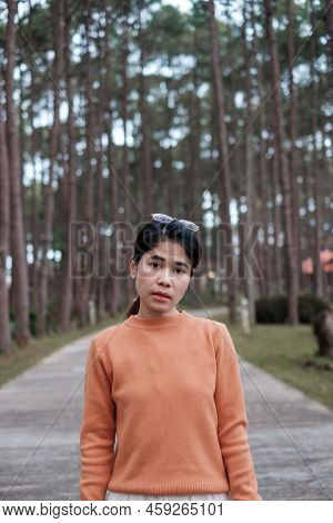 Happy Woman In Sweater Traveling In Pine Tree Forest, Tourist Visit At Doi Bo Luang, Chiang Mai, Tha
