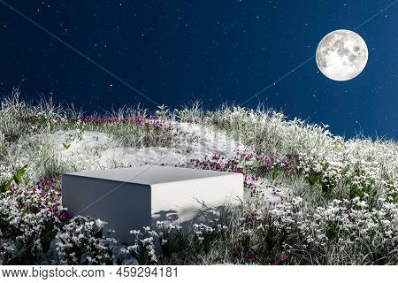 3d Render Platform And Natural Podium Background On Ice Snow With Star, Moom And Grass Field At Nigh